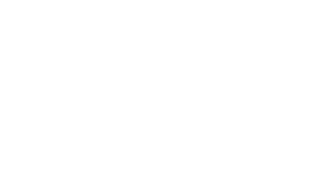 BVZ NÖN