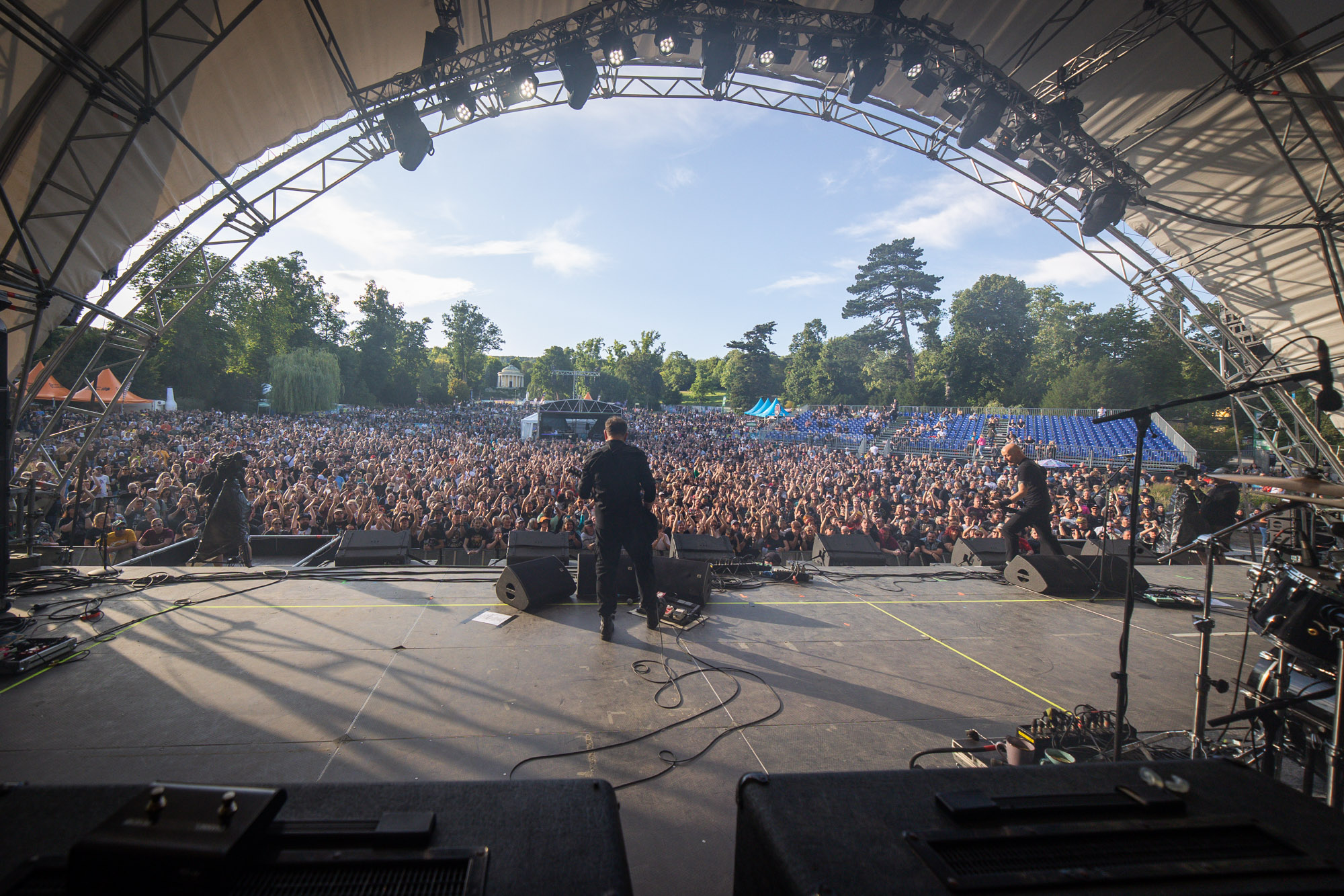 davidbitzan_forestglade25-1478